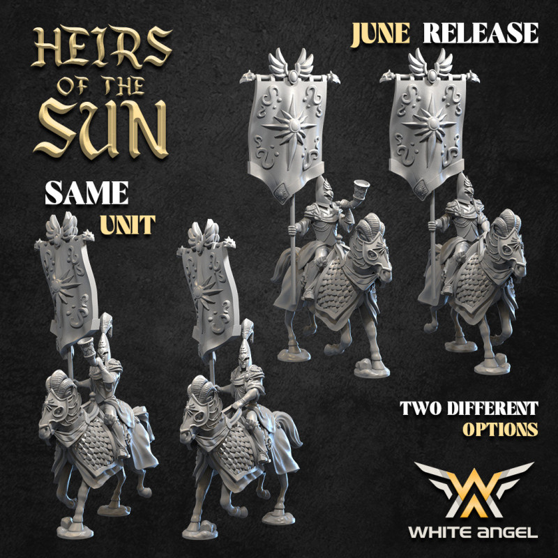 Heirs of the Sun - Knights of Light