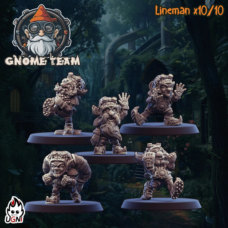 UGNI Gnome team