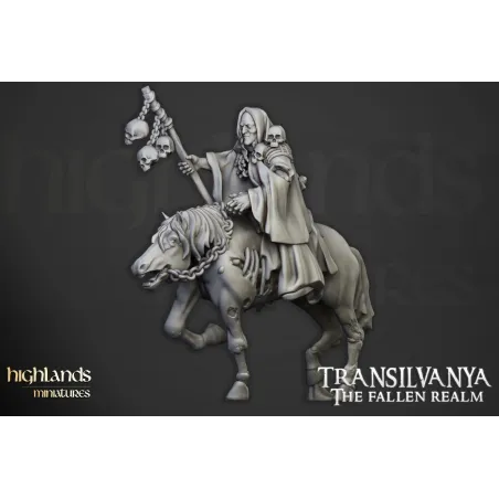 Transilvanya - Necromancer (horse)