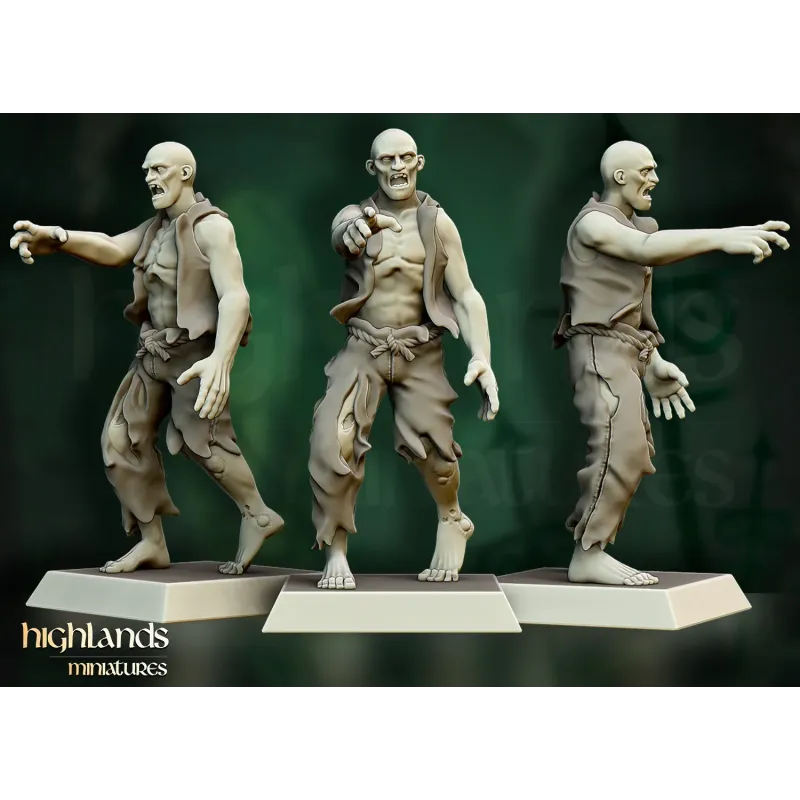 Transilvanya - Zombie Villagers