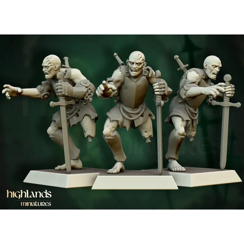 Transilvanya - Zombie Warriors