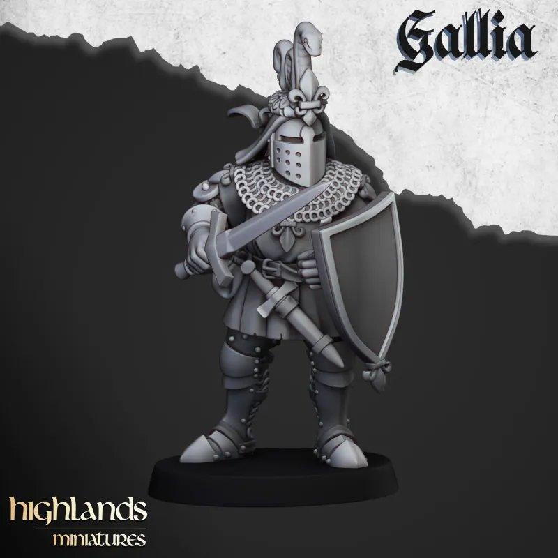 Gallia - Knights of Gallia on foot