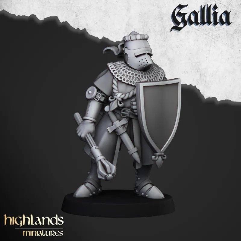 Gallia - Knights of Gallia on foot
