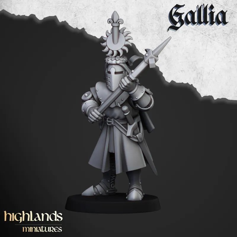 Gallia - Knights of Gallia on foot