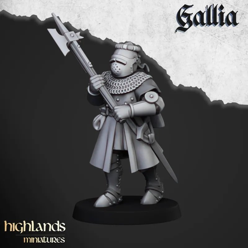 Gallia - Knights of Gallia on foot