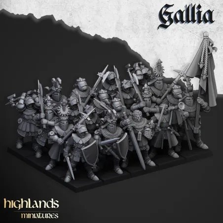 Gallia - Knights of Gallia on foot
