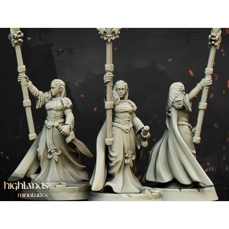 Gallia - Damsel of the Lady on foot